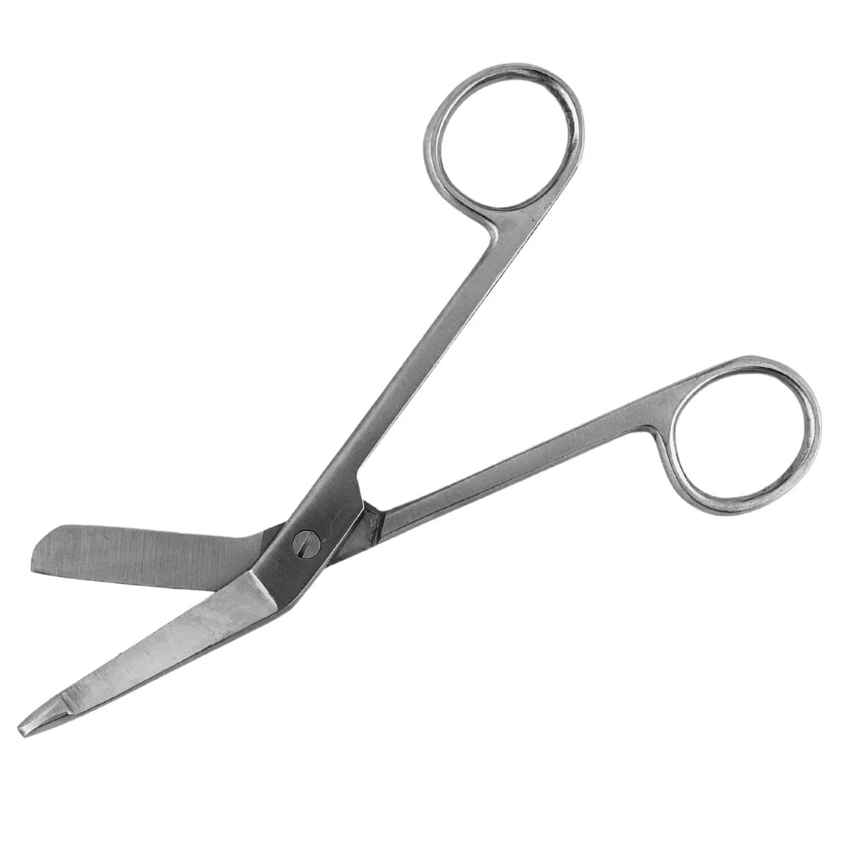 Lister Scissors (1)