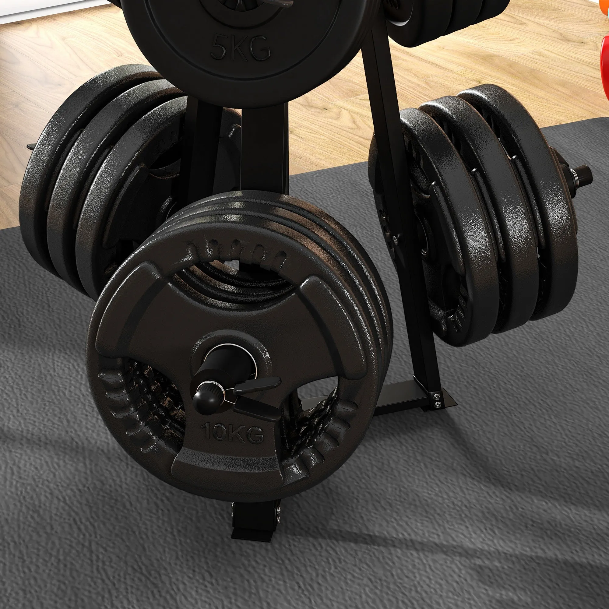 Weight Plate Storage Rack with 6 Fasten Clamps, Max Load 300kg